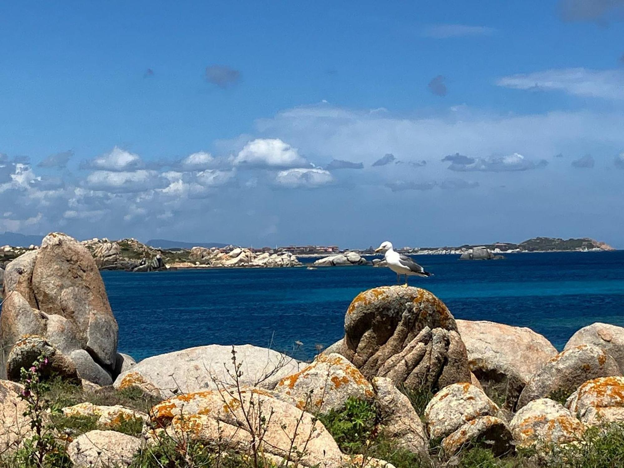 Maison Non Fumeur - Jardin 5 Personnes Proche Des Plages Finisteriennes Guipavas 外观 照片